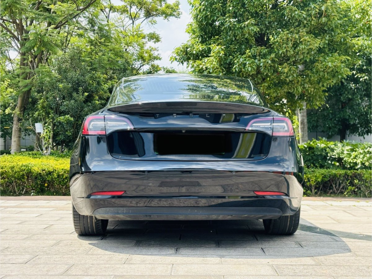 Tesla Model 3 2020 #11 Tesla Model 3 2020 car image #11