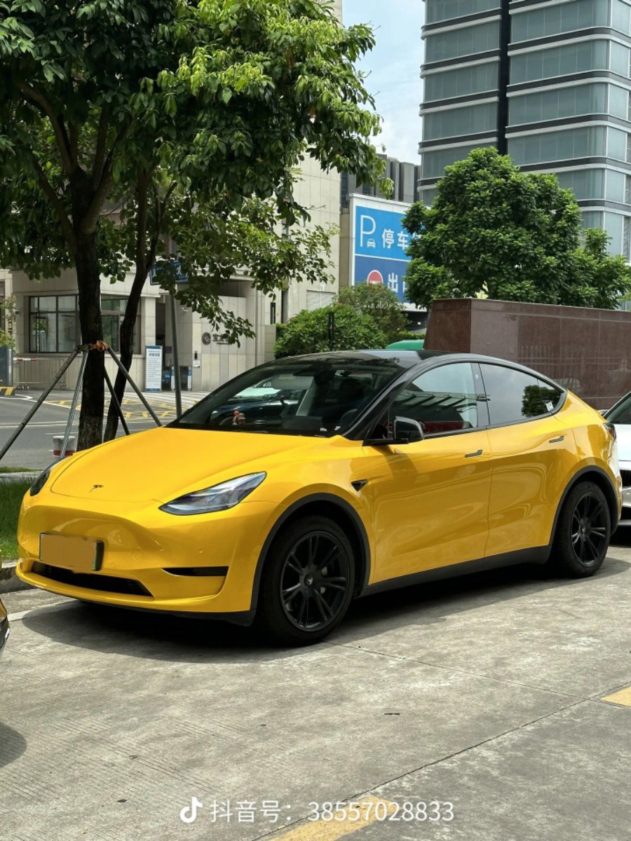 Tesla Model Y 2022 Tesla Model Y 2022 car image