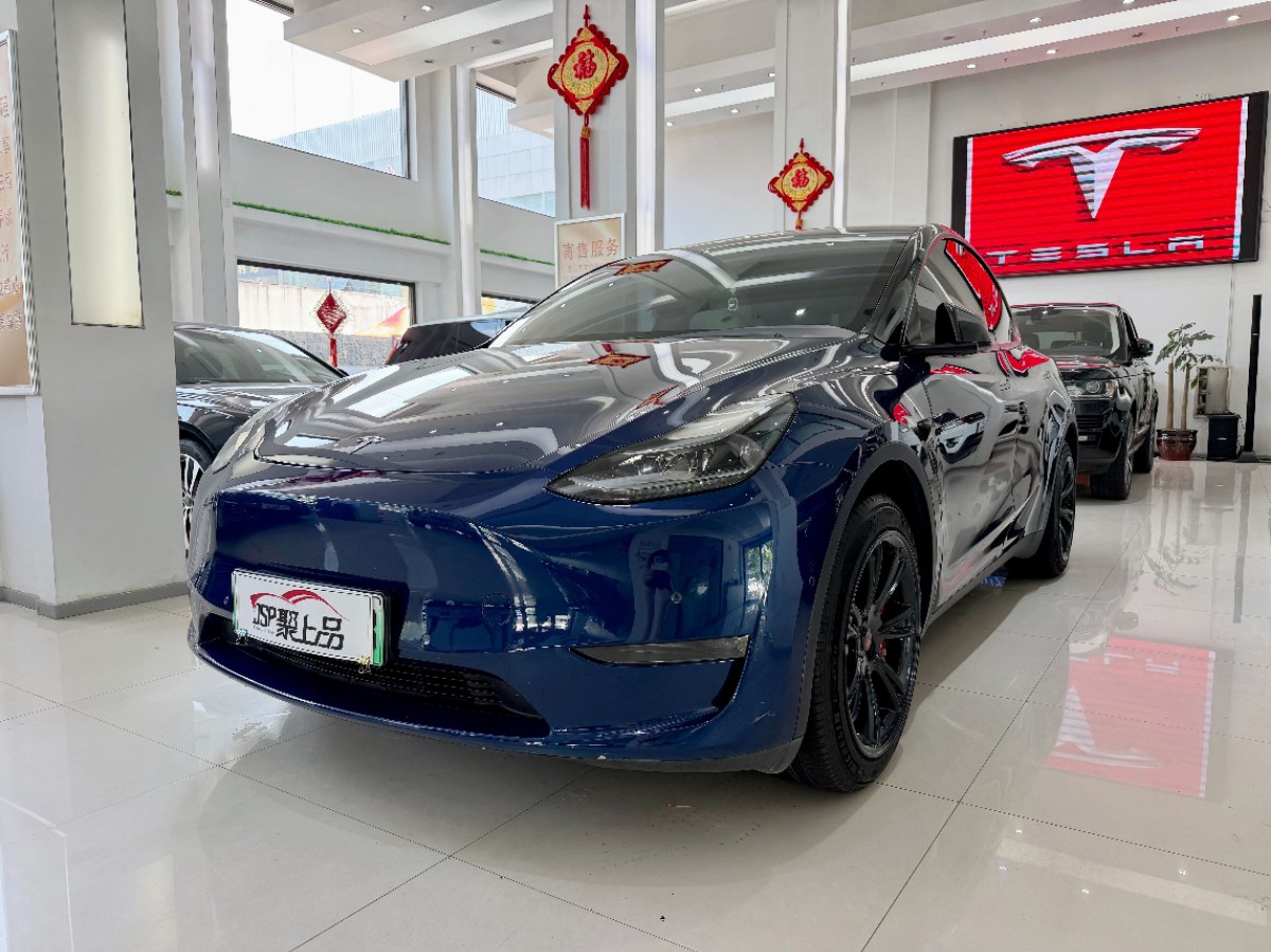 Tesla Model Y 2021 car image 