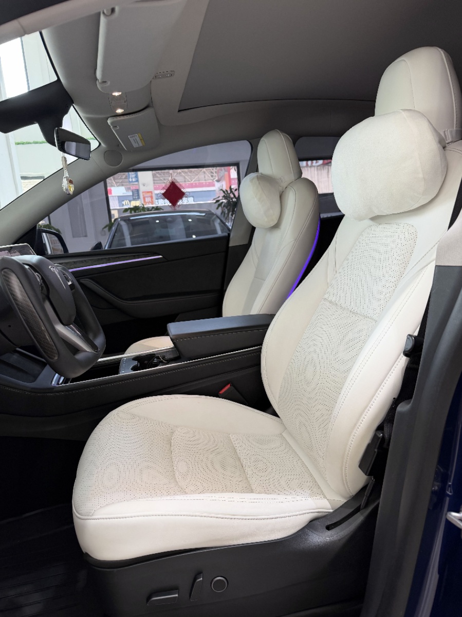Tesla Model Y 2021 car image #4