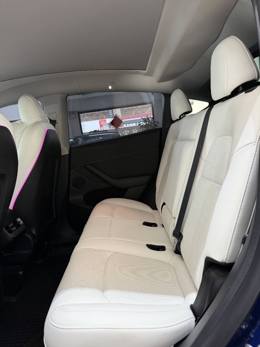 Tesla Model Y 2021 car image #5