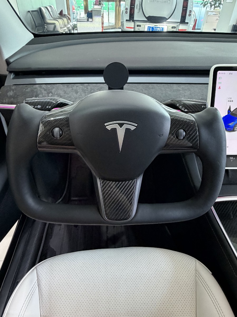 Tesla Model Y 2021 car image #10