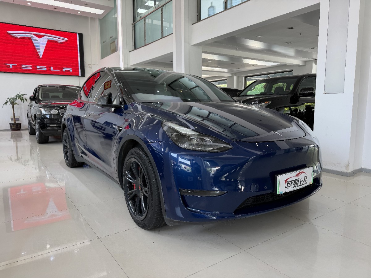 Tesla Model Y 2021 car image #3