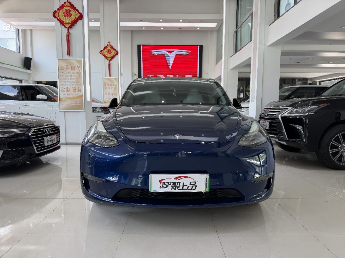 Tesla Model Y 2021 car image #2
