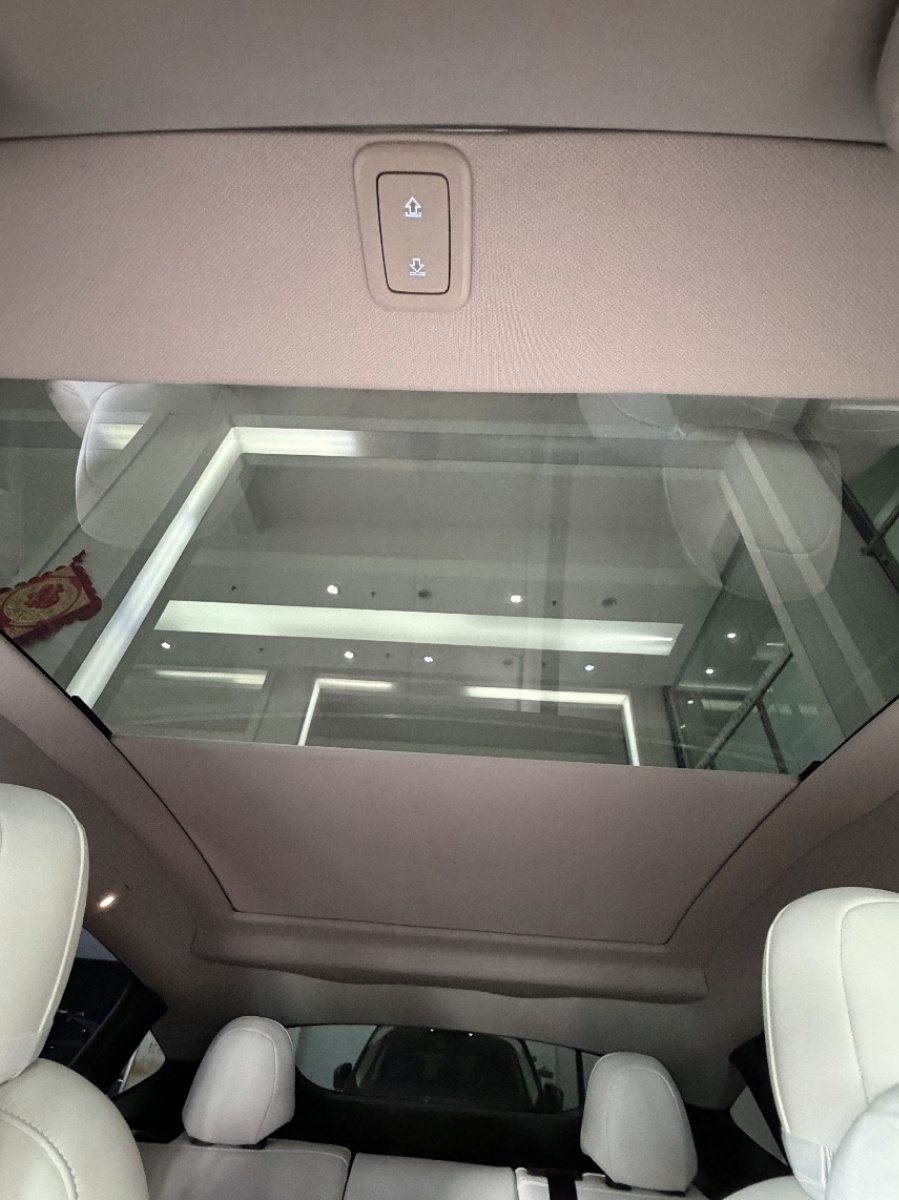 Tesla Model Y 2021 car image #8