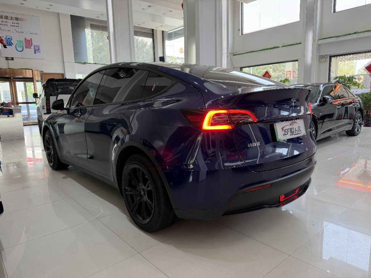 Tesla Model Y 2021 car image #15