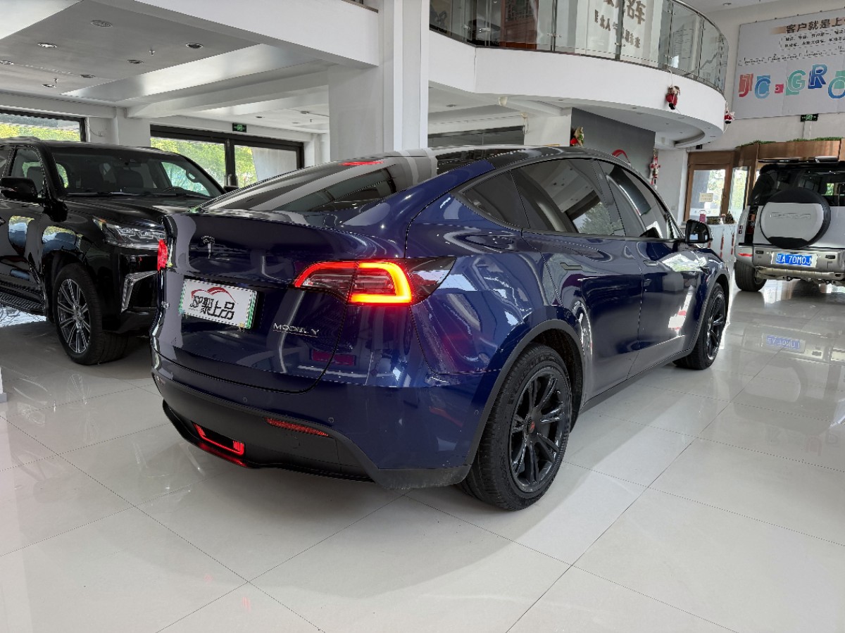 Tesla Model Y 2021 car image #13