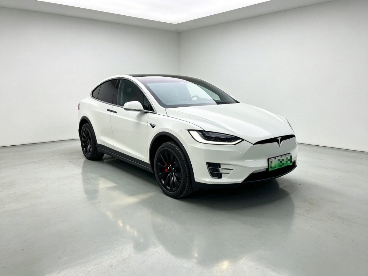 Tesla Model X 2018 car image #3