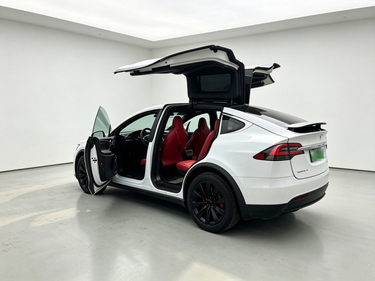Tesla Model X 2018 car image #5