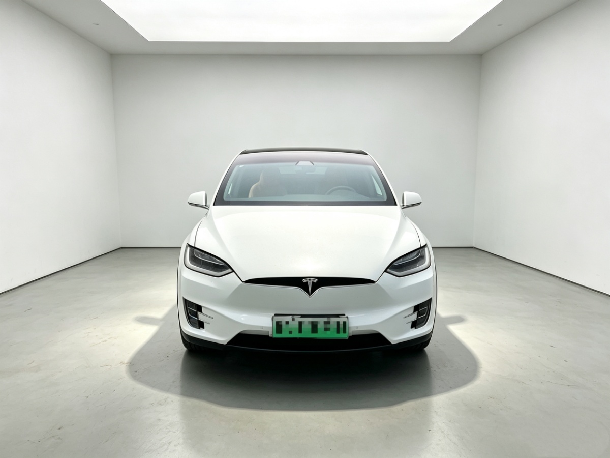 Tesla Model X 2018 car image #2