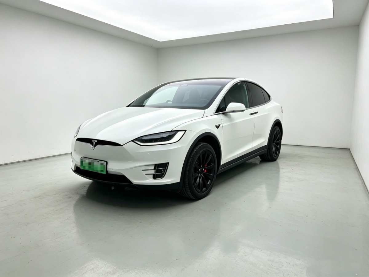Tesla Model X 2018 car image 