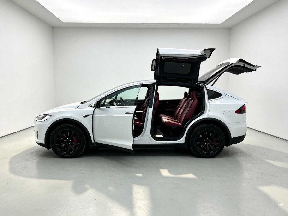 Tesla Model X 2018 car image #6