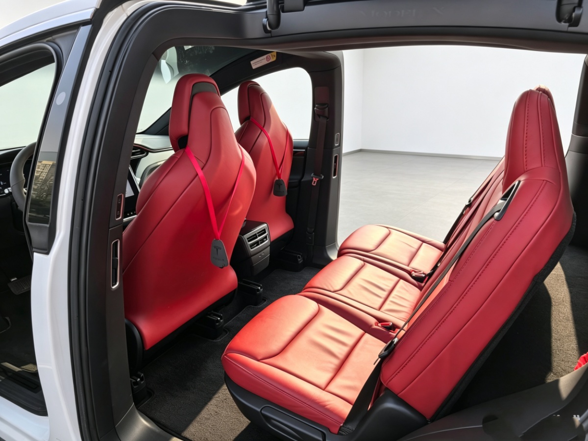 Tesla Model X 2018 car image #9