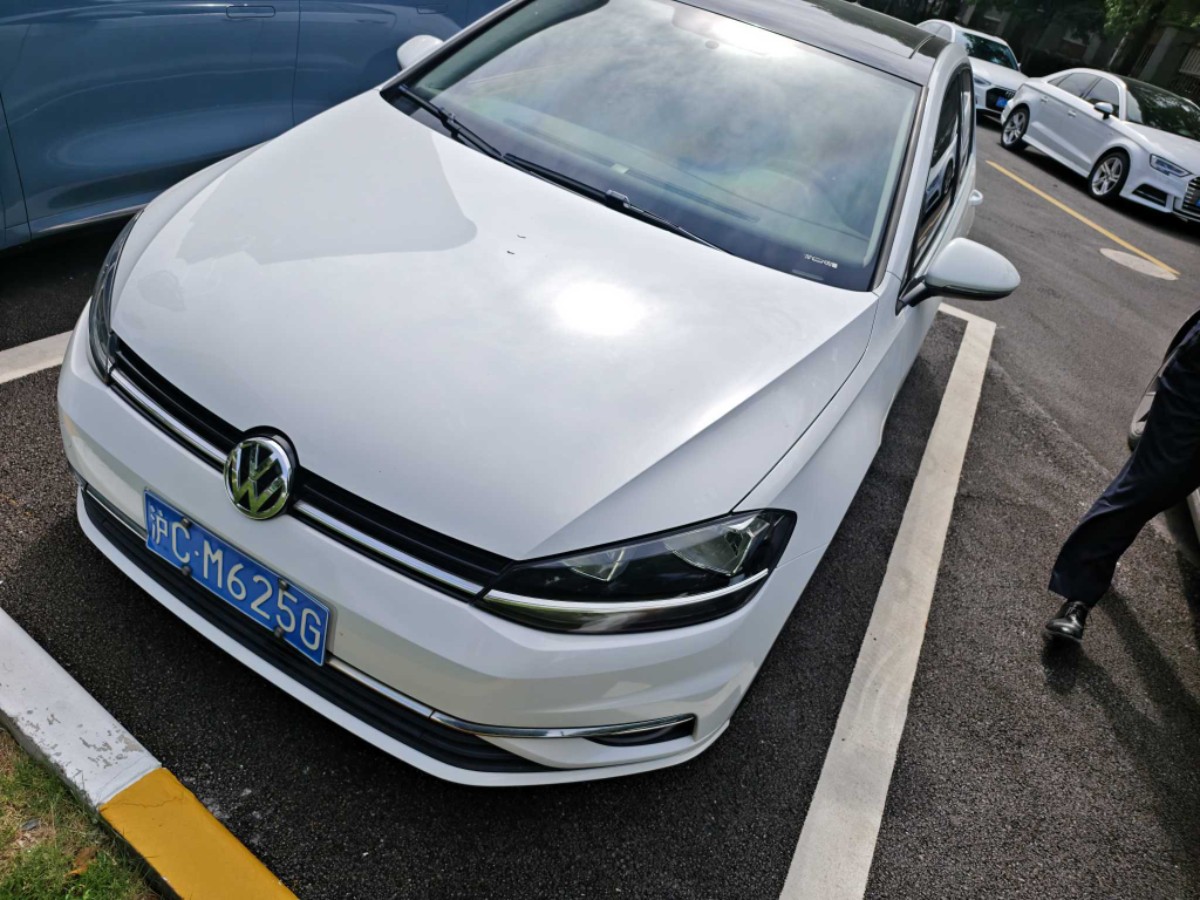 Volkswagen Golf 2019 car image 