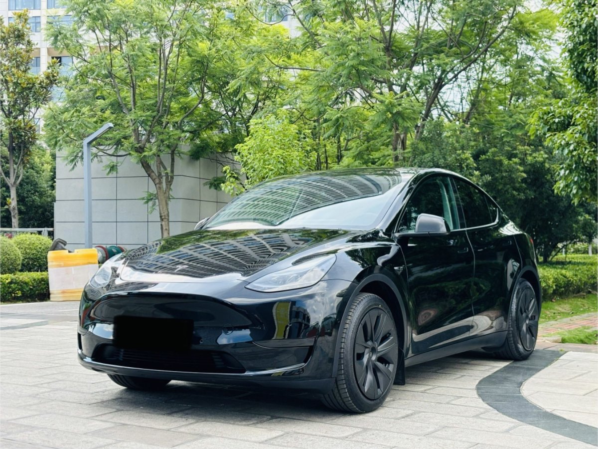 Tesla Model Y 2024 Tesla Model Y 2024 car image