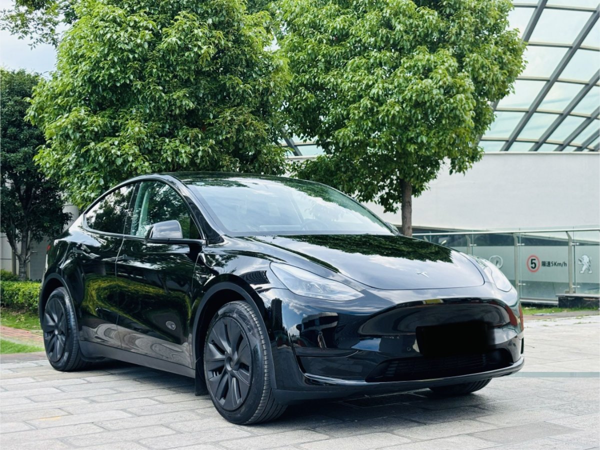 Tesla Model Y 2024 #3 Tesla Model Y 2024 car image #3
