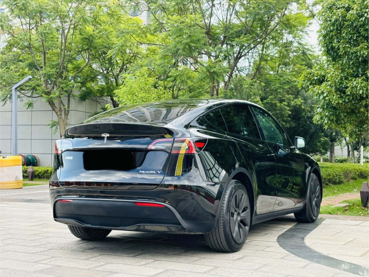 Tesla Model Y 2024 #8 Tesla Model Y 2024 car image #8