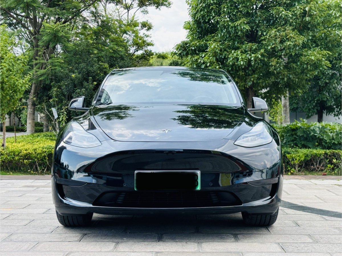 Tesla Model Y 2024 #2 Tesla Model Y 2024 car image #2