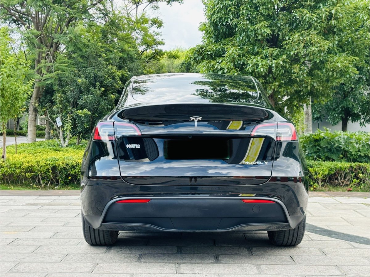 Tesla Model Y 2024 #9 Tesla Model Y 2024 car image #9