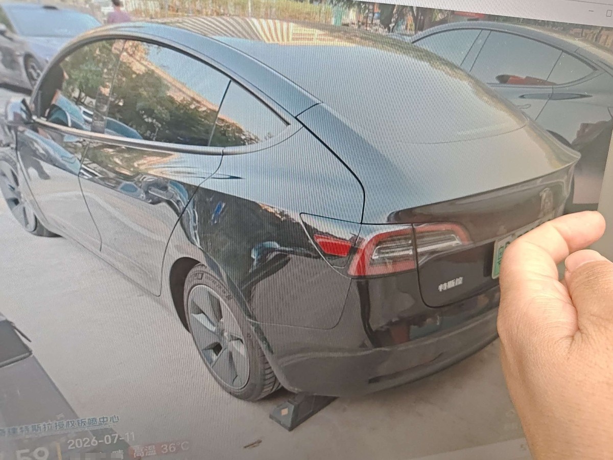 Tesla Model 3 2023 #3 Tesla Model 3 2023 car image #3