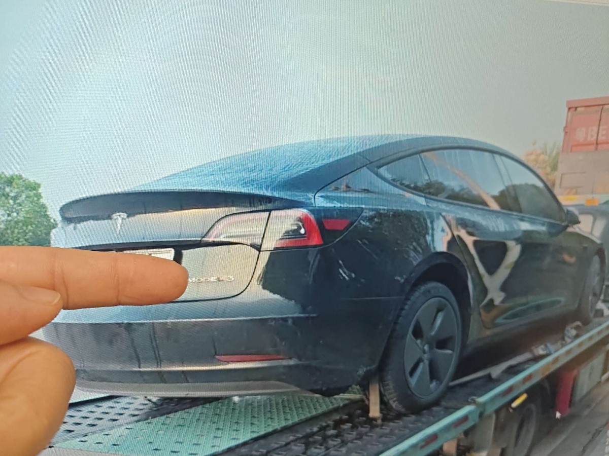 Tesla Model 3 2023 #4 Tesla Model 3 2023 car image #4