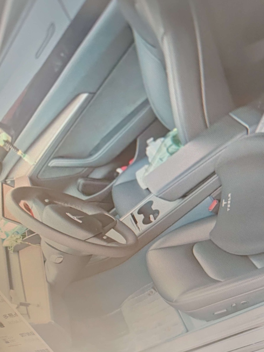 Tesla Model 3 2023 #6 Tesla Model 3 2023 car image #6