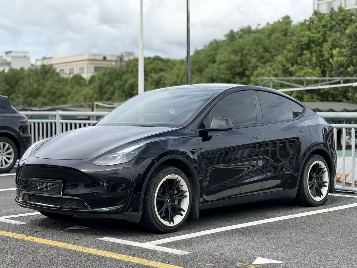 Tesla Model Y 2023 Tesla Model Y 2023 car image