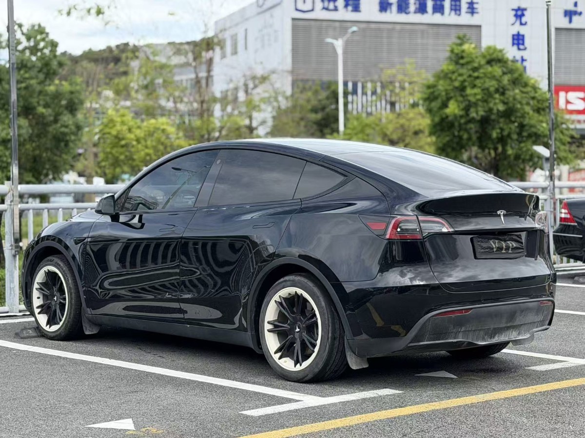 Tesla Model Y 2023 #7 Tesla Model Y 2023 car image #7