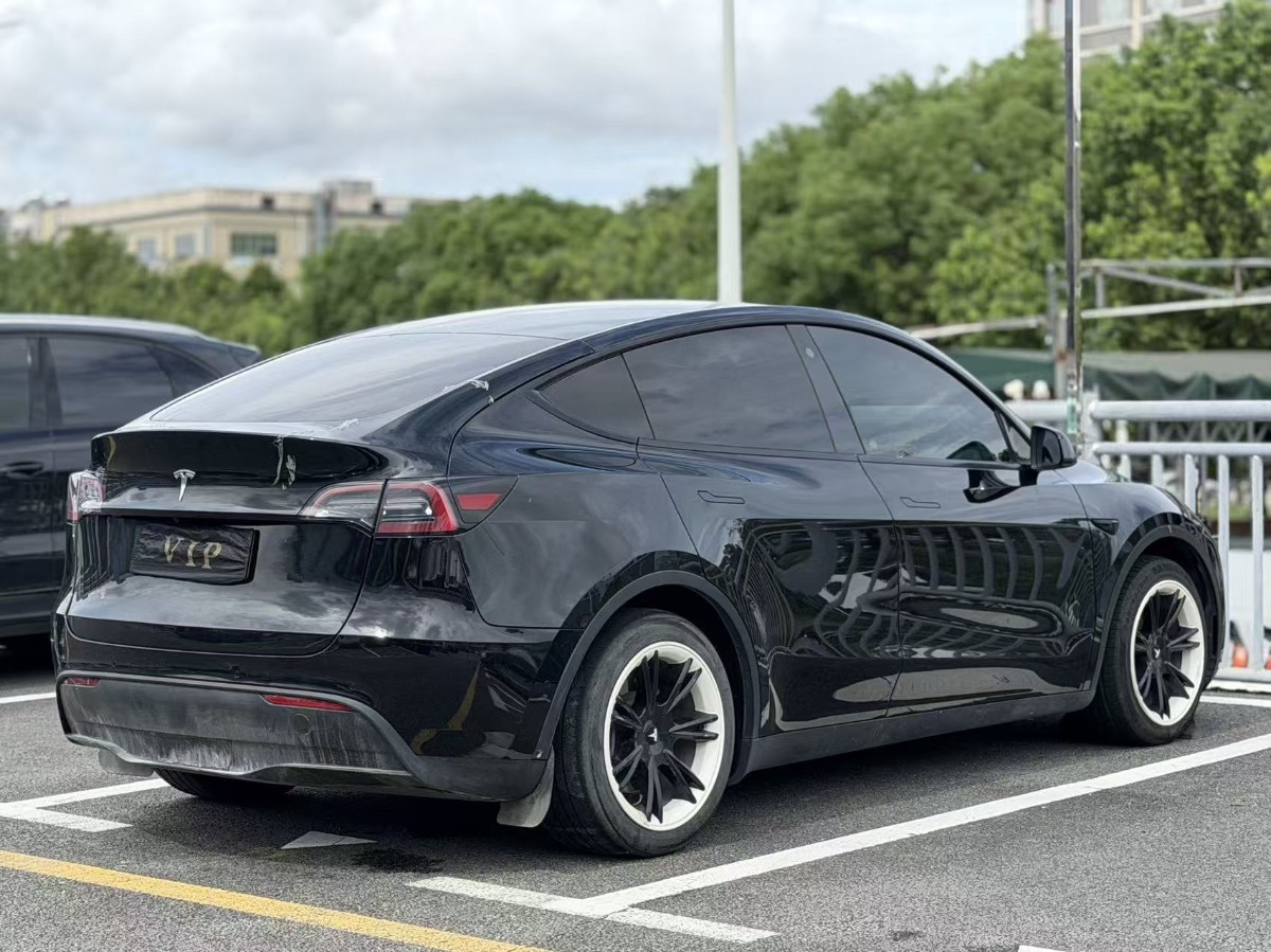 Tesla Model Y 2023 #9 Tesla Model Y 2023 car image #9