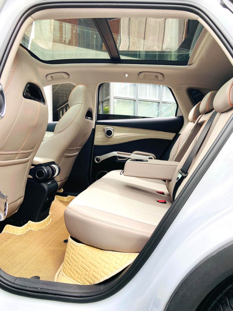BYD Yuan Plus 2024 car image #6