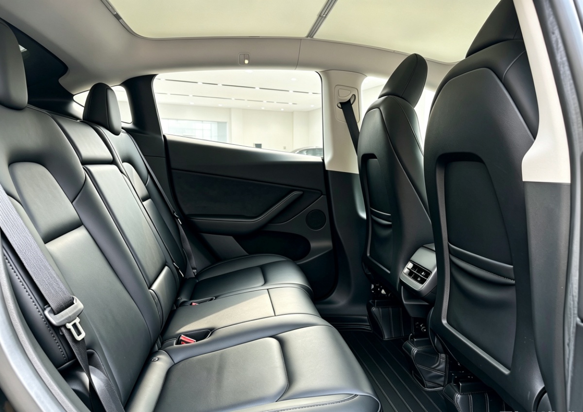 Tesla Model Y 2023 #4 Tesla Model Y 2023 car image #4