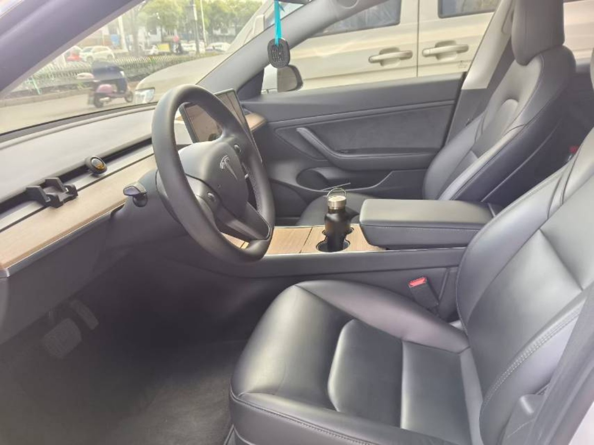 Tesla Model 3 2020 #3 Tesla Model 3 2020 car image #3