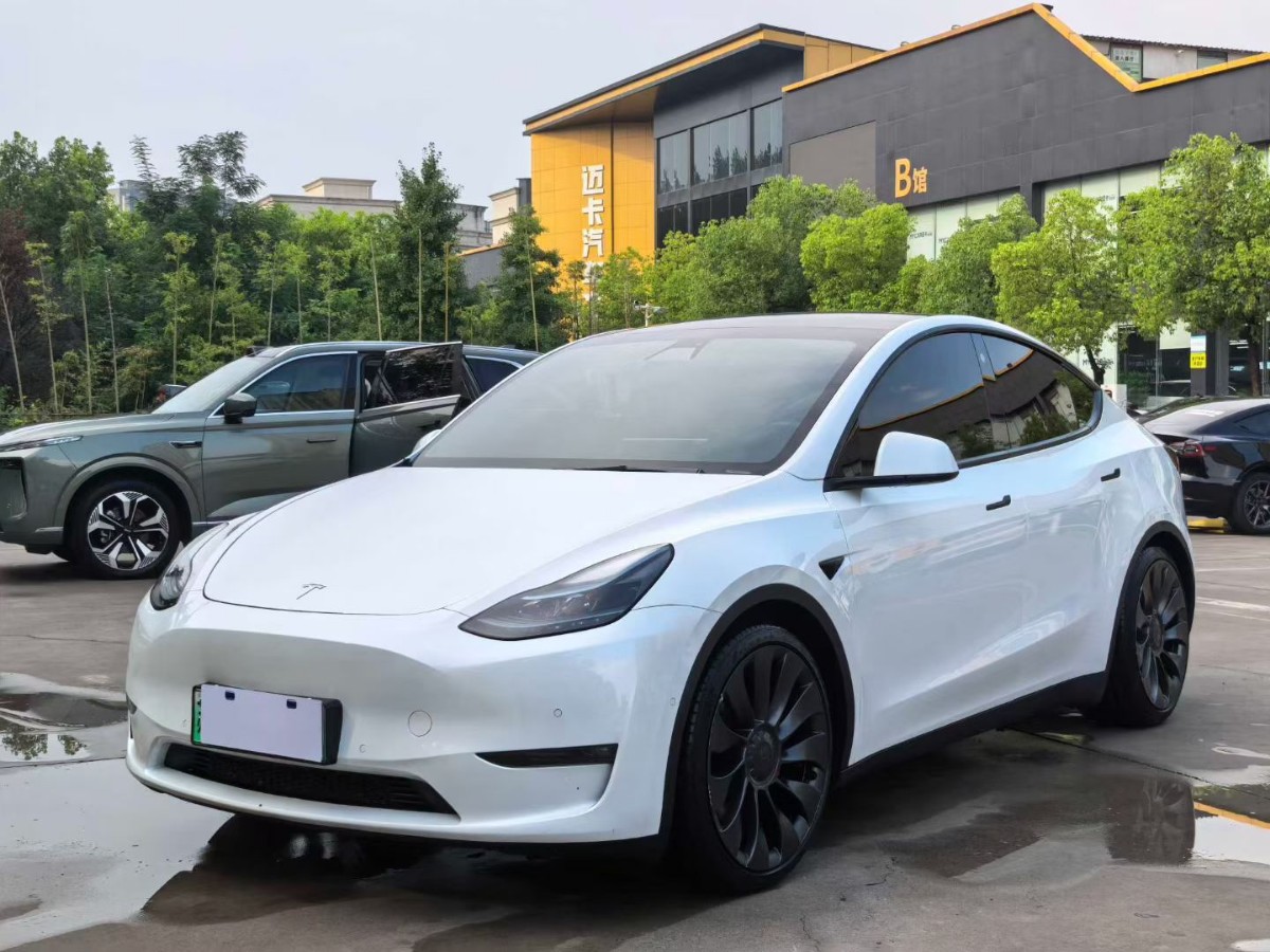 Tesla Model Y 2023 Tesla Model Y 2023 car image