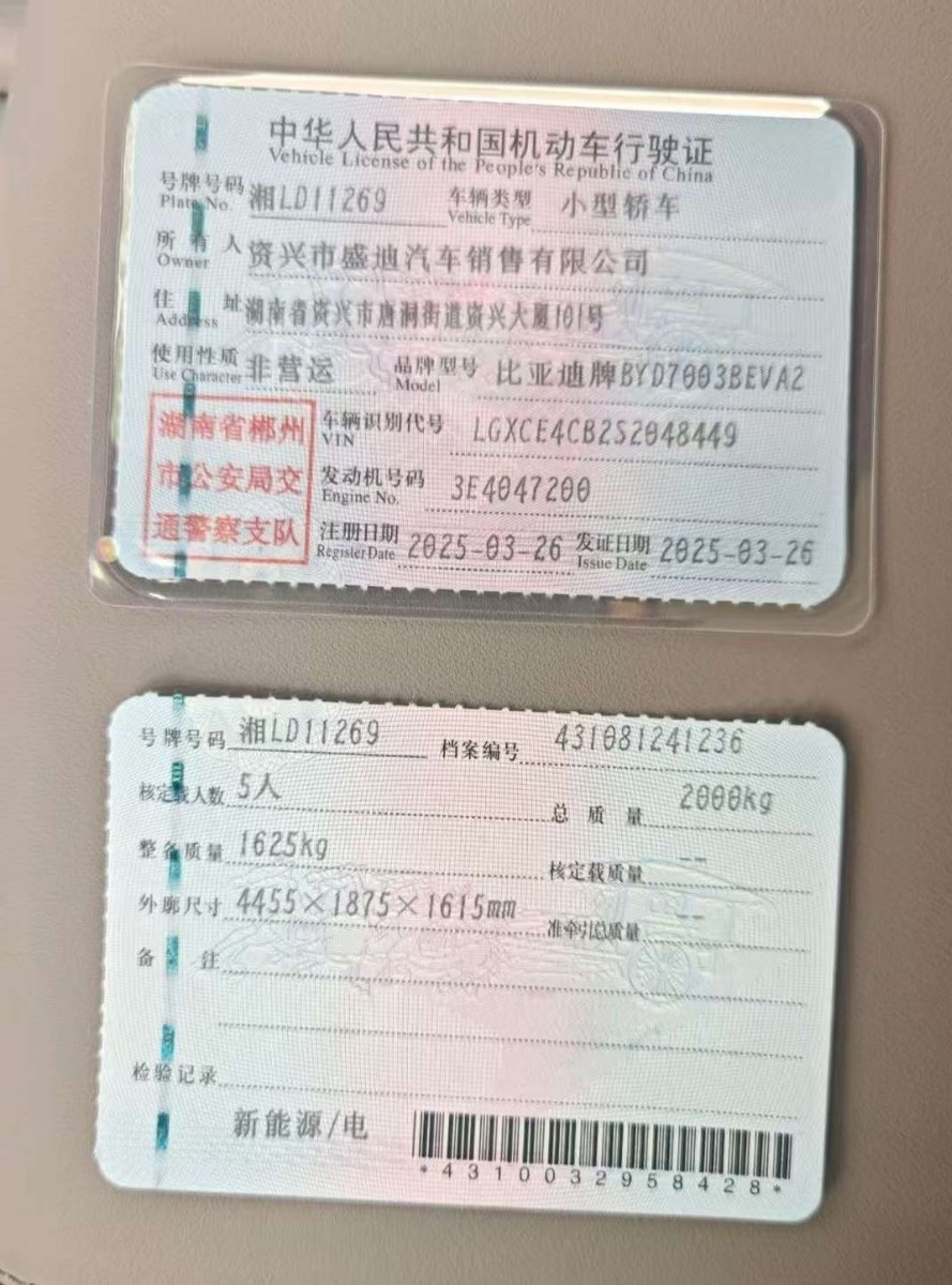 BYD Yuan Plus 2025 car image #10