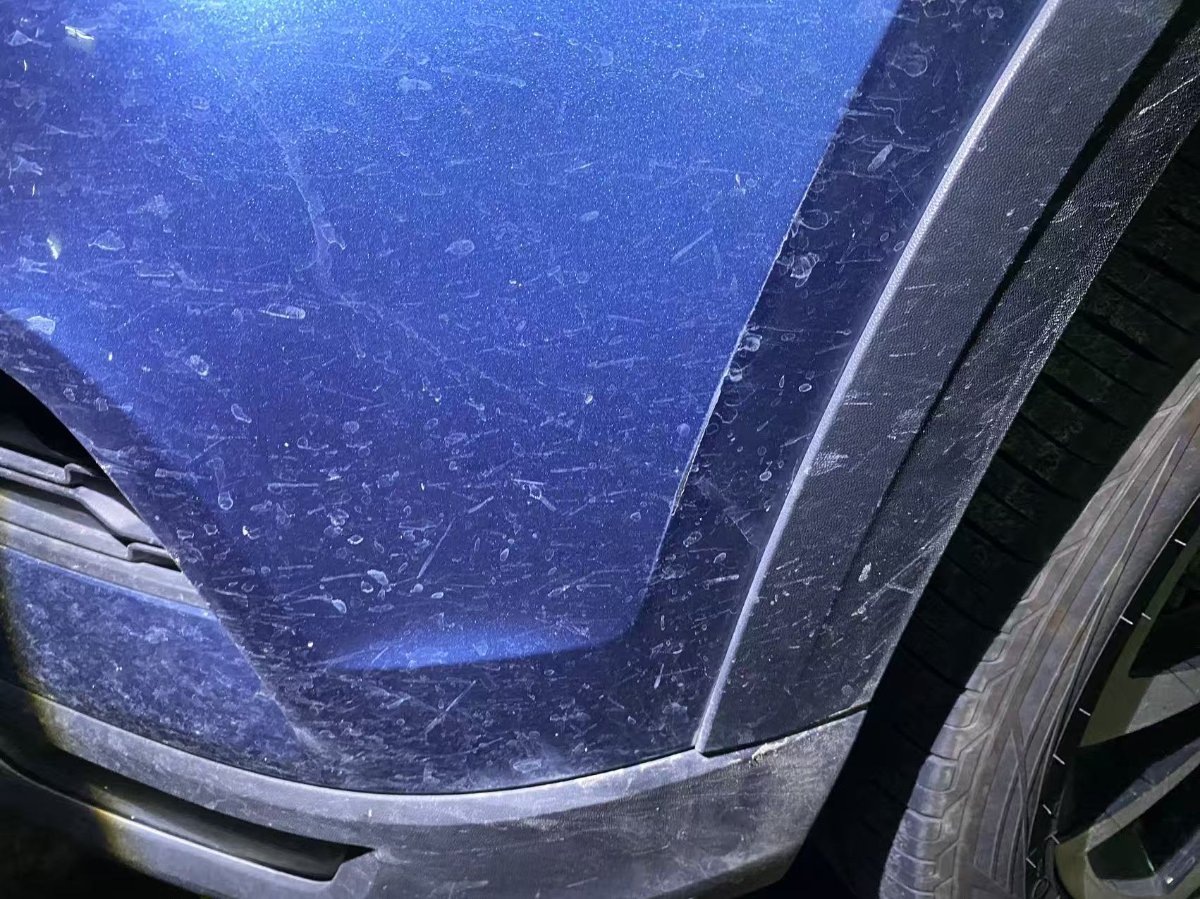 Volkswagen Tharu 2020 car image #8