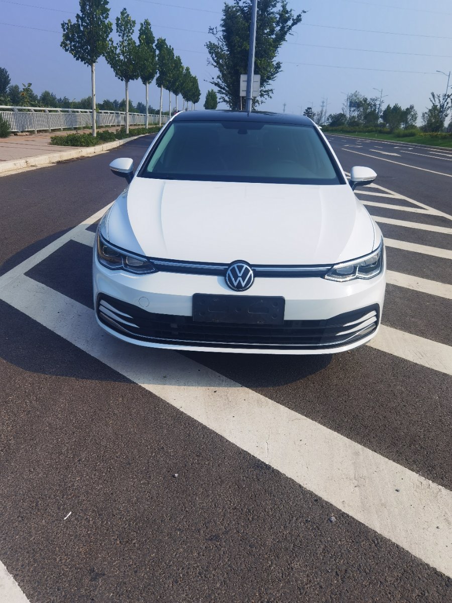 Volkswagen Golf 2021 Volkswagen Golf 2021 immagine di auto