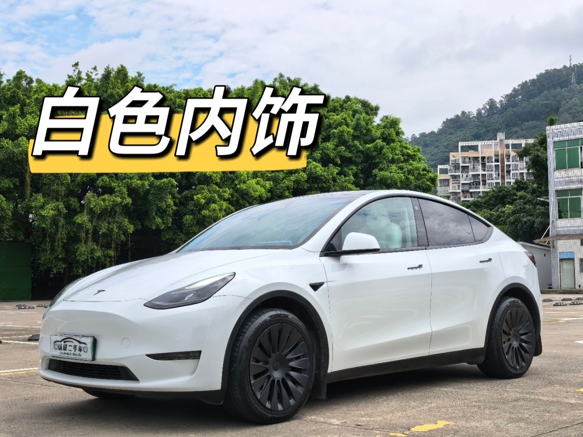Tesla Model Y 2024 Tesla Model Y 2024 car image