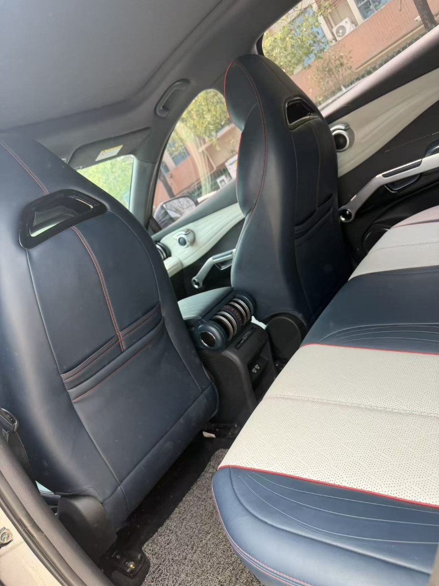 BYD Yuan Plus 2022 car image #8