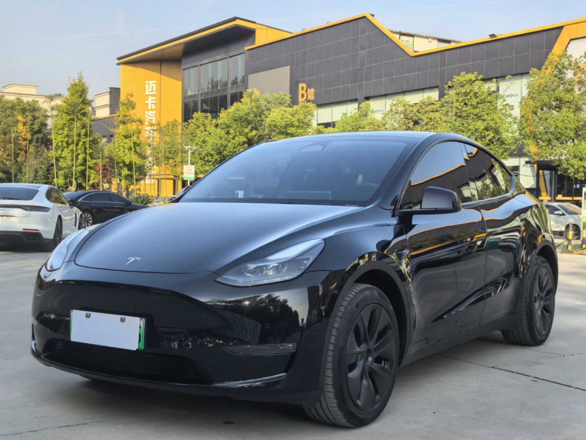 Tesla Model Y 2024 Tesla Model Y 2024 car image