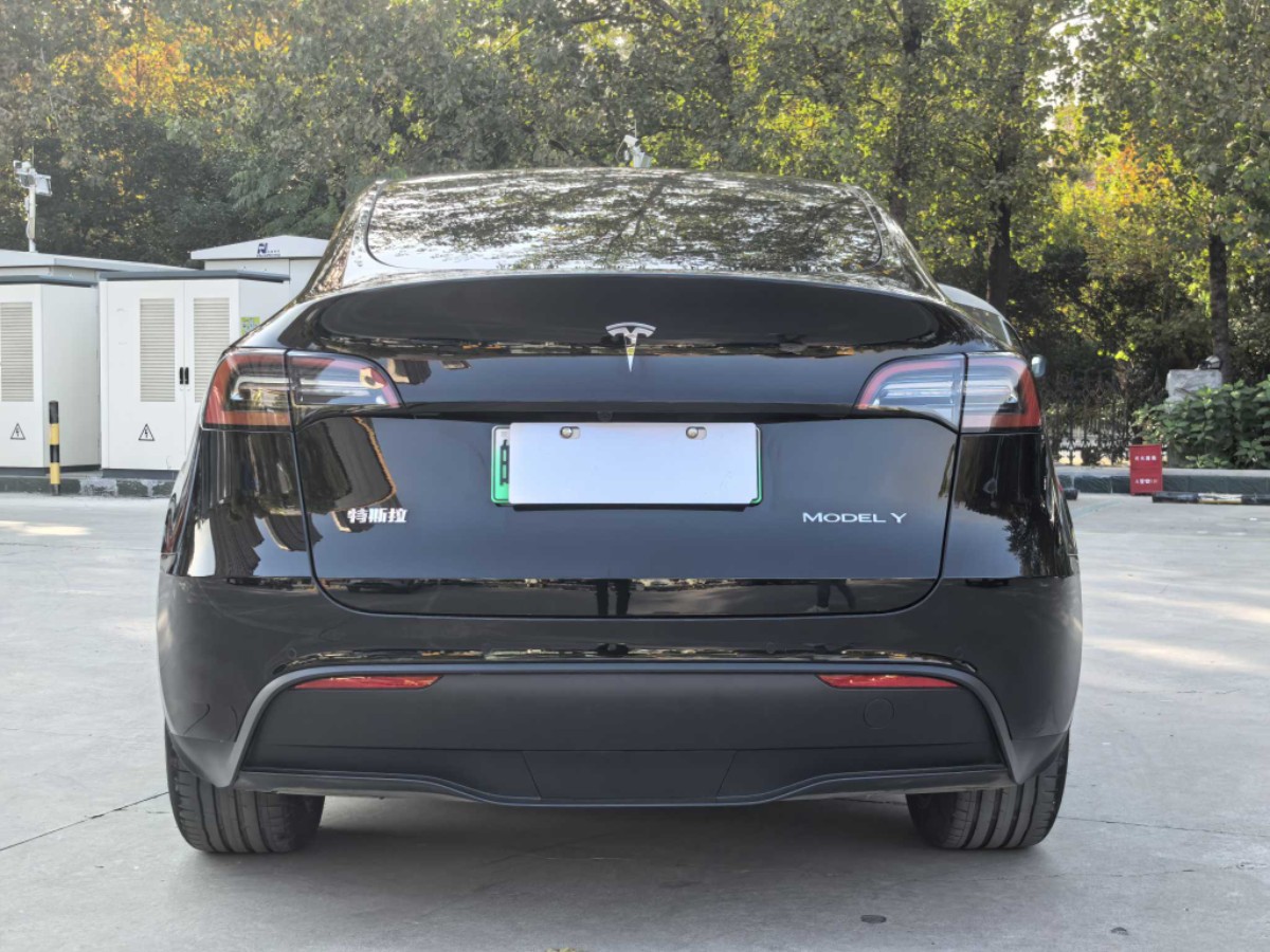 Tesla Model Y 2024 #8 Tesla Model Y 2024 car image #8