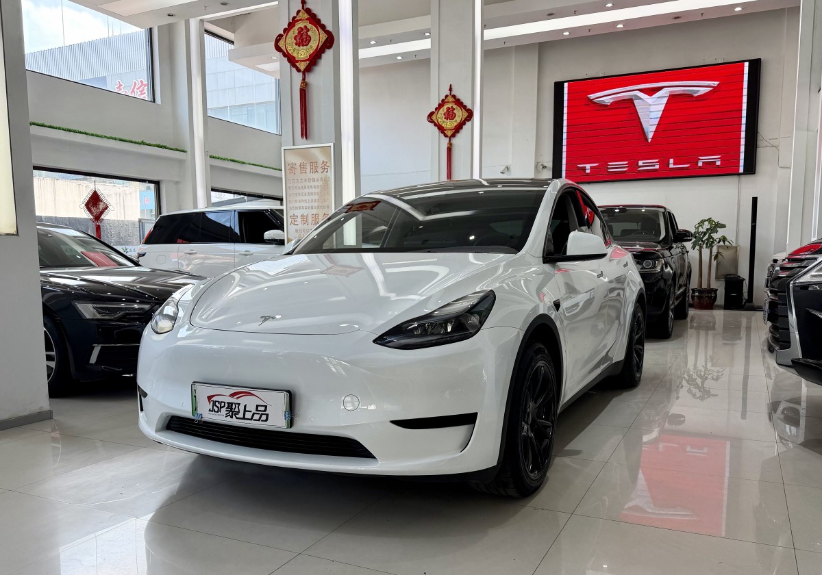 Tesla Model Y 2023 car image 