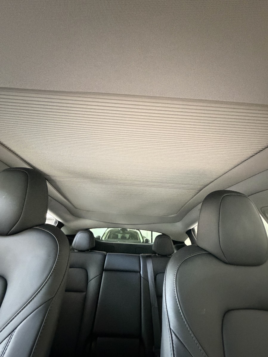 Tesla Model Y 2023 car image #6
