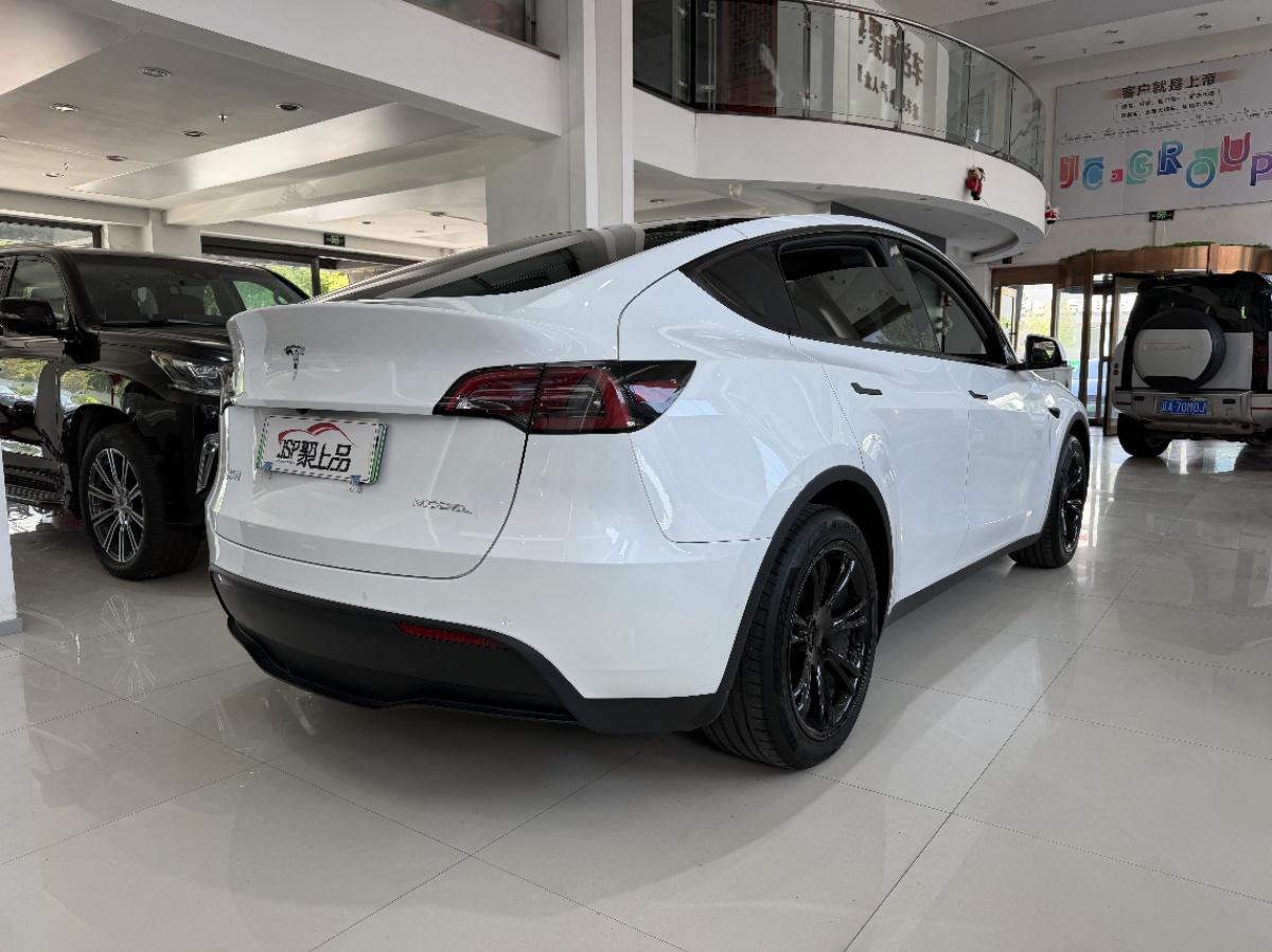 Tesla Model Y 2023 car image #9