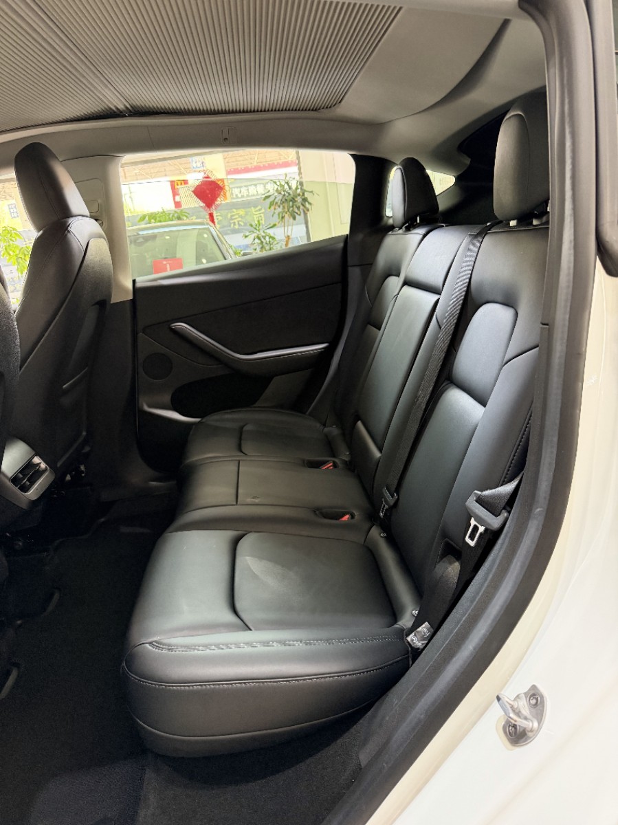 Tesla Model Y 2023 car image #5