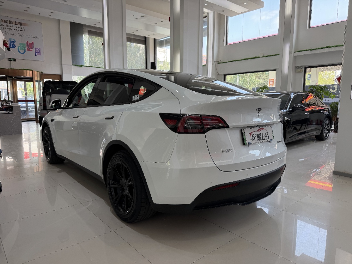 Tesla Model Y 2023 car image #11