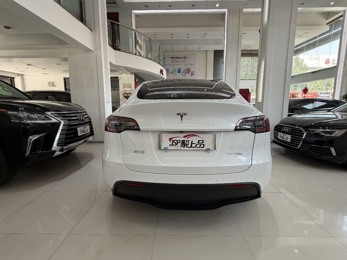 Tesla Model Y 2023 car image #10