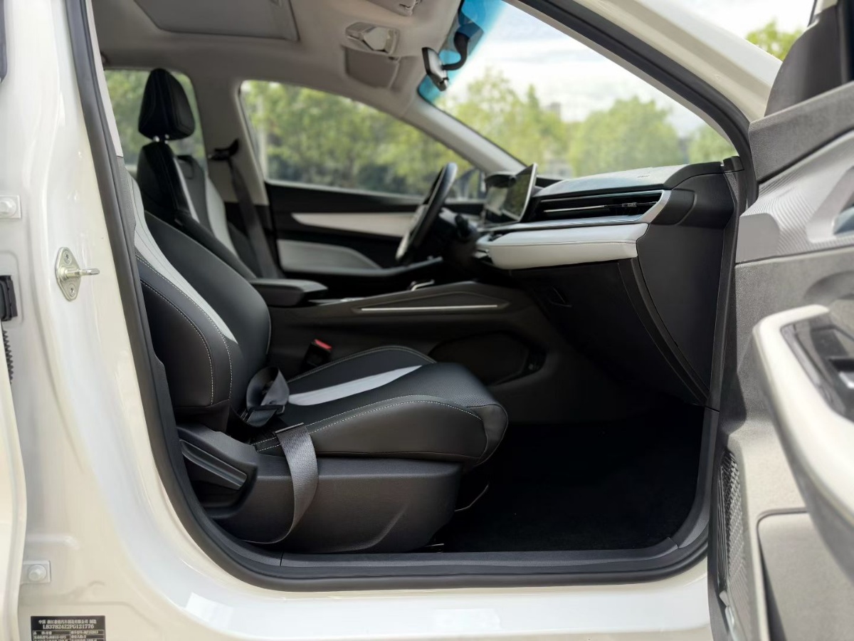 GEELY Binray 2024 immagine di auto #4