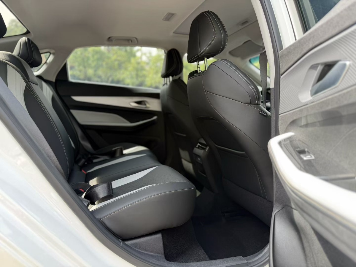 GEELY Binray 2024 immagine di auto #6