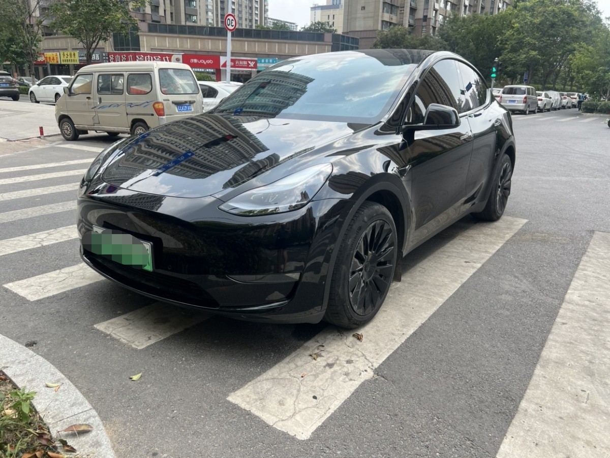 Tesla Model Y 2023 immagine di auto 