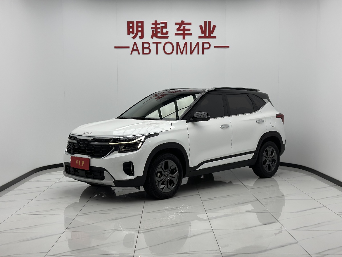 Kia Seltos 2024 car image 